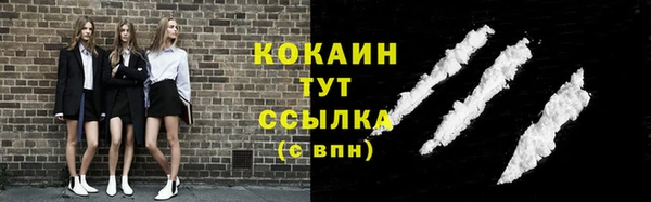 сатива Ахтубинск