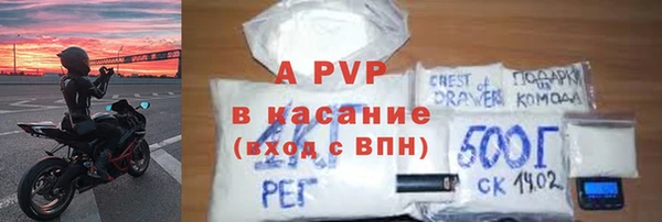 сатива Ахтубинск