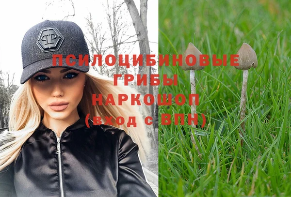 твердый Анжеро-Судженск
